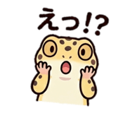 843005317
