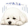 843005486