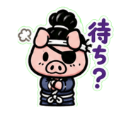 843005564