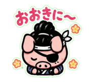 843005572