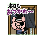843005576