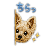 843005712