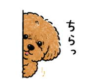 843005831