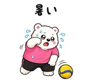 843005891