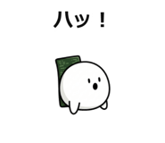 843006116