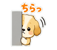 843006160