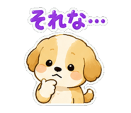 843006163