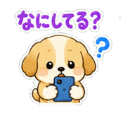 843006170