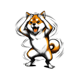 843006242