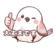 843006582