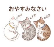 843006715