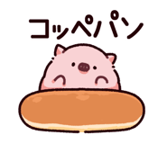 843007163