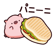 843007176