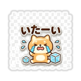 843007282