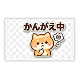 843007306