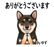843007427