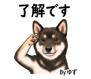 843007428