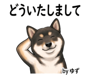 843007434