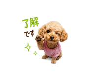 843007464