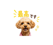 843007467