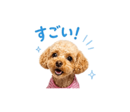 843007475