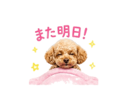 843007488