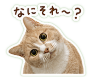 843010783