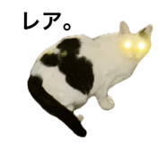 843011112