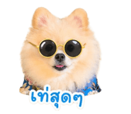 843011664