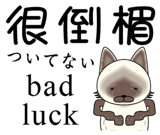 843015416
