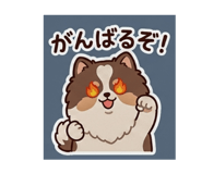 843017670