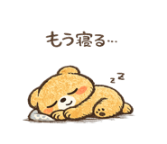 843019162