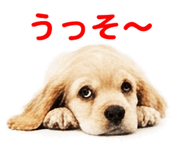 843020504