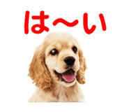 843020513