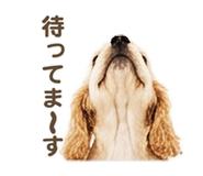 843020519