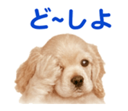 843020536