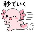 843021388