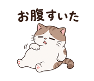 843021804