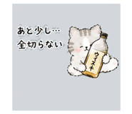 843022334