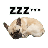 843022415