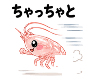 843022423