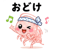 843022426
