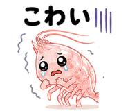 843022427