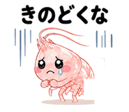 843022431