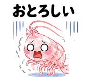 843022435