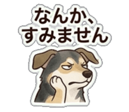843022617