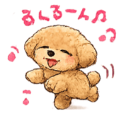 843023964