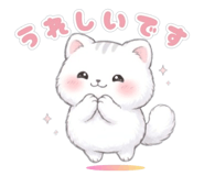 843024017