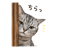 843024372