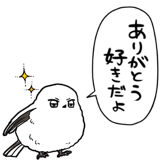 843025281
